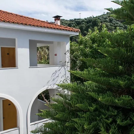 Paradise - Adults Only Hotel Platys Gialos (Mykonos)