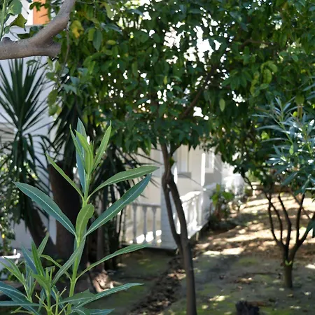 Hotel Paradise - Adults Only