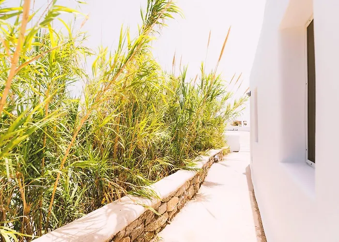 Paradise - Adults Only Hotell