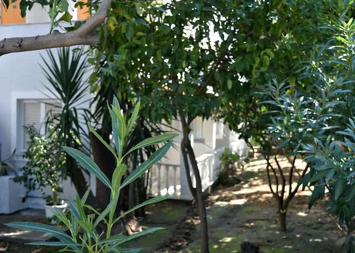 Hotell Paradise - Adults Only