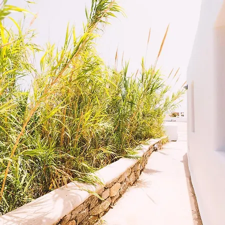 Paradise Ξενοδοχείο