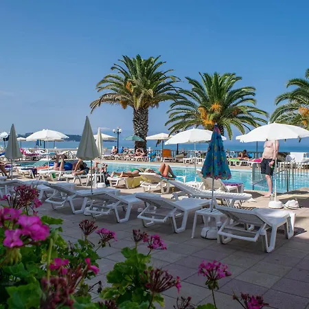 Paradise 3*
